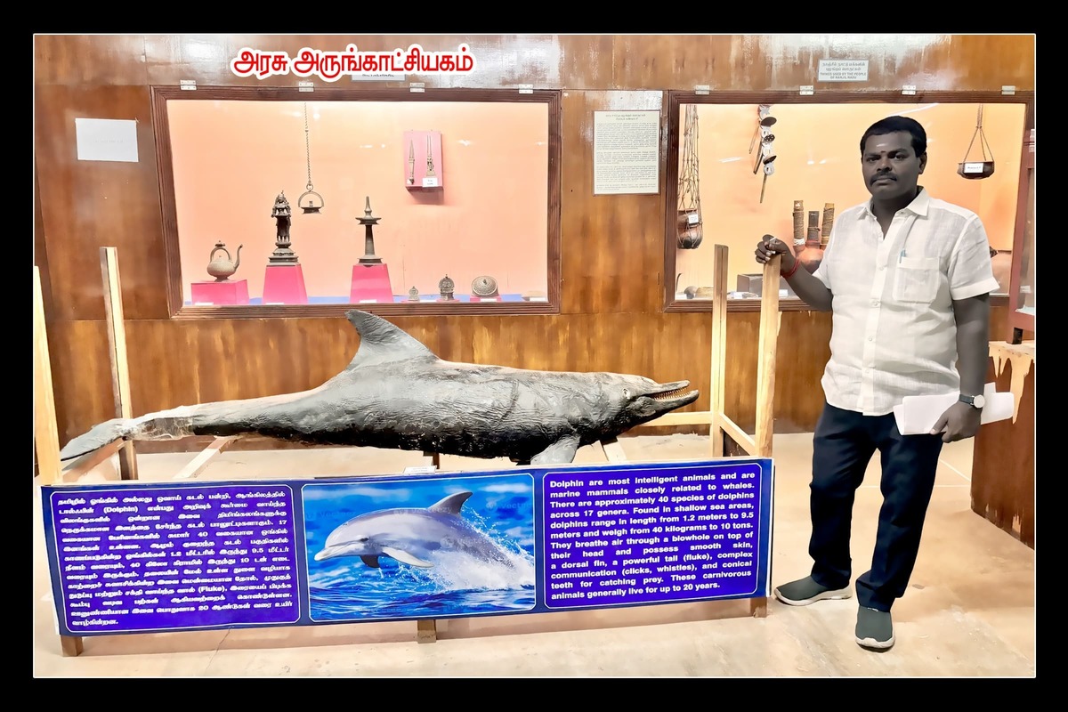 Best Couples Resorts in Paramakudi